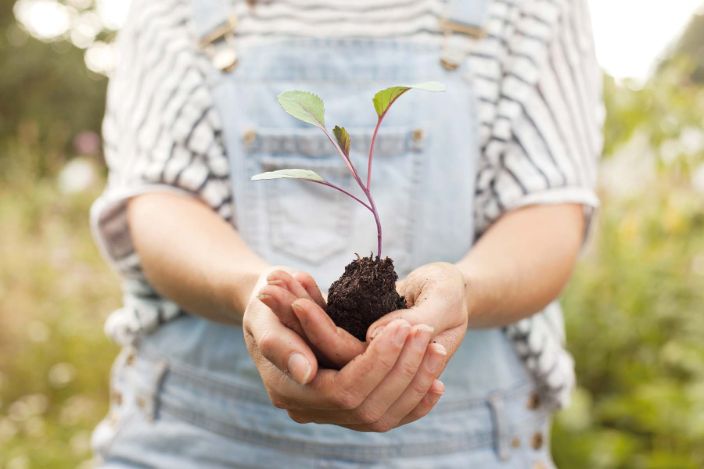 eine Frau in Jeans Latzhosen steht in einer grünen Wiese und hält eine Jungpflanze mit Erde in der Hand.