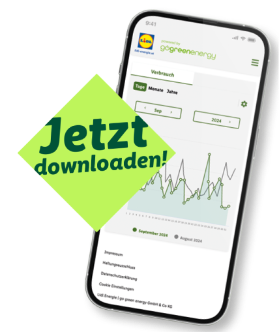 Handy Screenshot mit Verbrauchsdiagramm